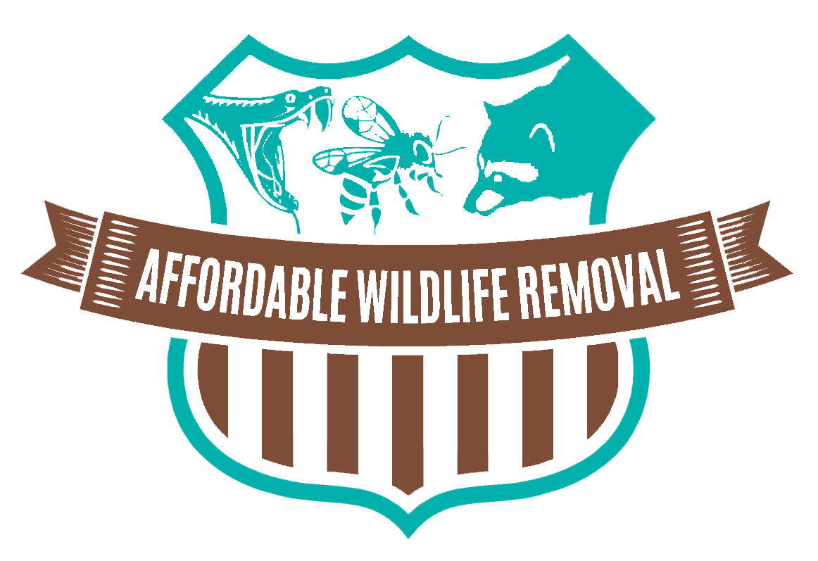 Affordable Wildlife Removal (321) 329-3012