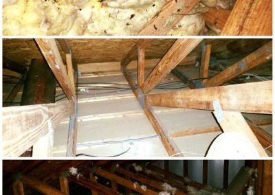 attic restoration