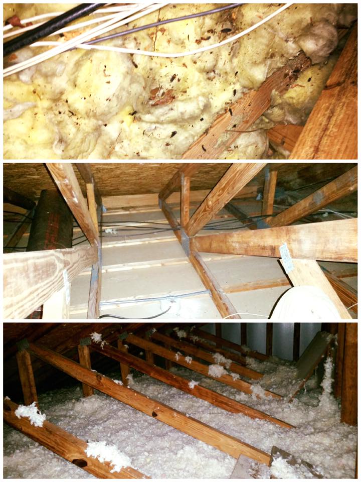 image of animal damages in the attic and attic restoration