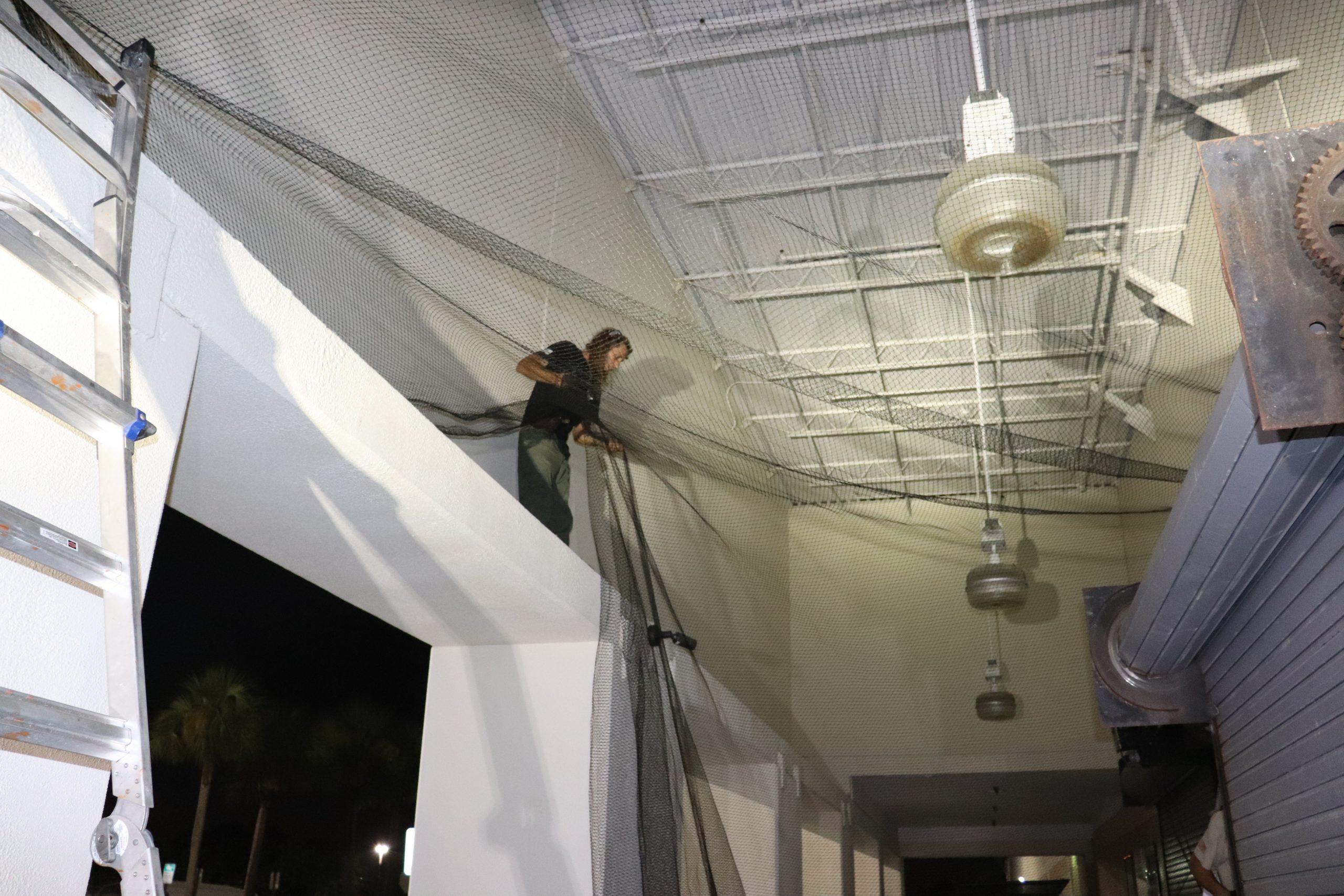 bird netting installation Orlando FL scaled