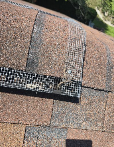 Found during inspection, client had other company seal home then still heard noises.