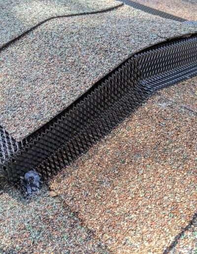 Casselberry rat exclusion