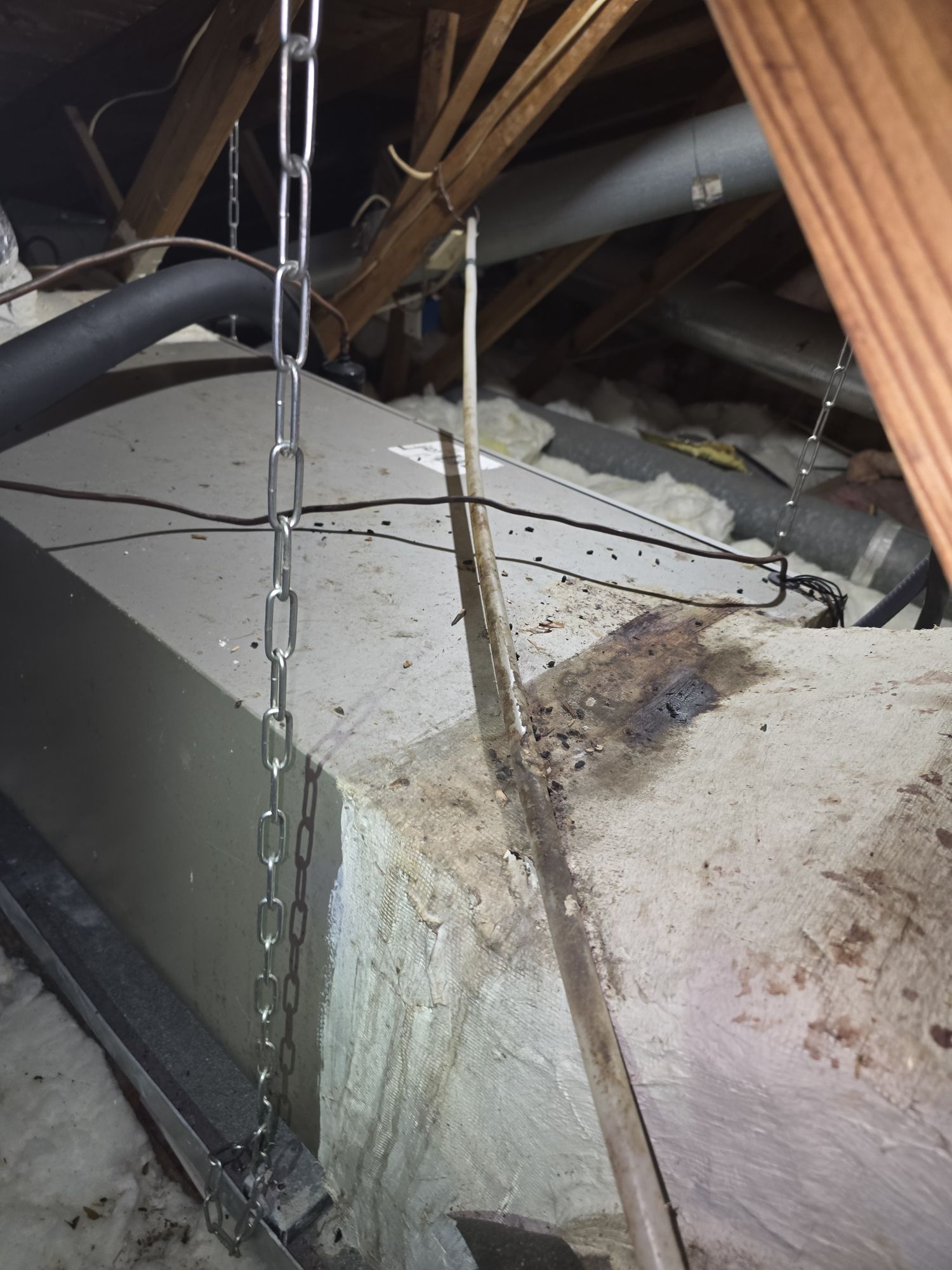 rat control ocoee