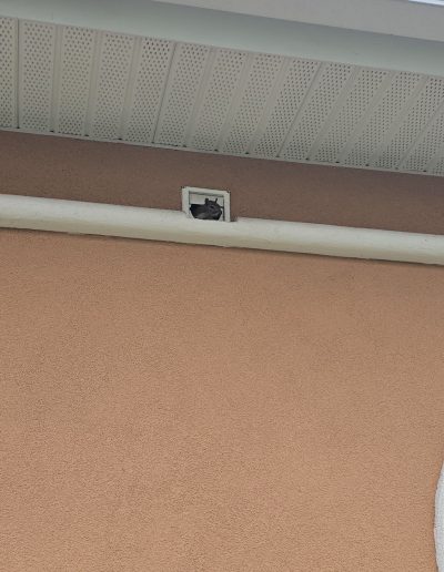 20250619 1239295151128319122063491