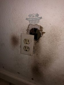 rodent hole ocoee
