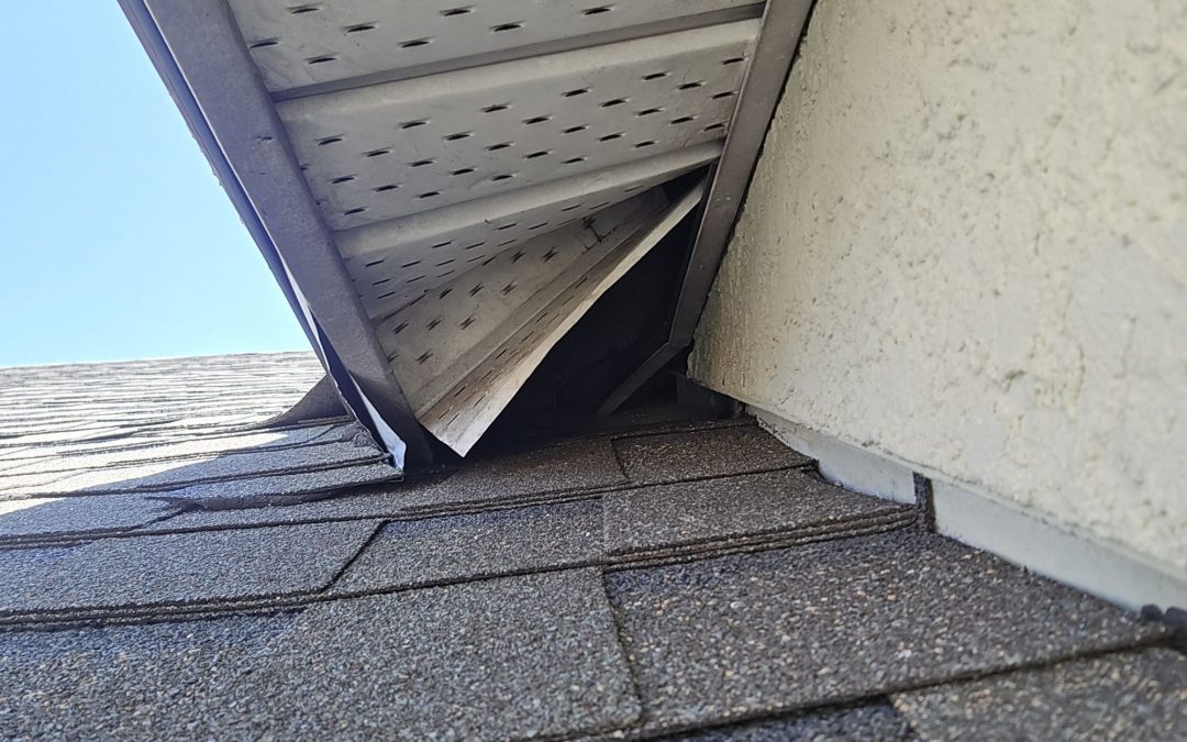 How wildlife gets into your home!