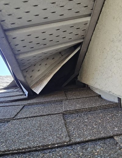 altamonte springs raccon entry