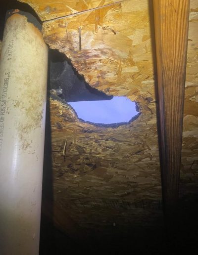 wp 17507964470595207324679142661527