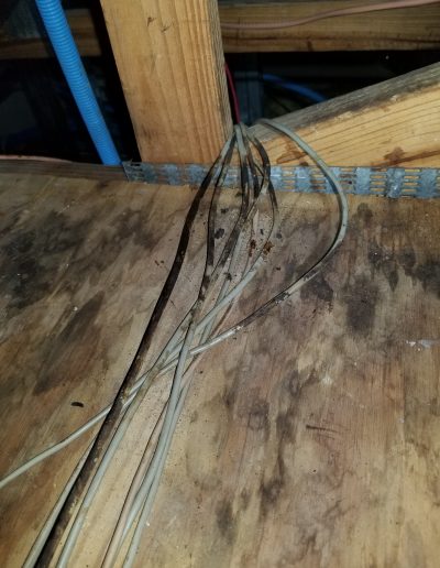 wiring stains deland
