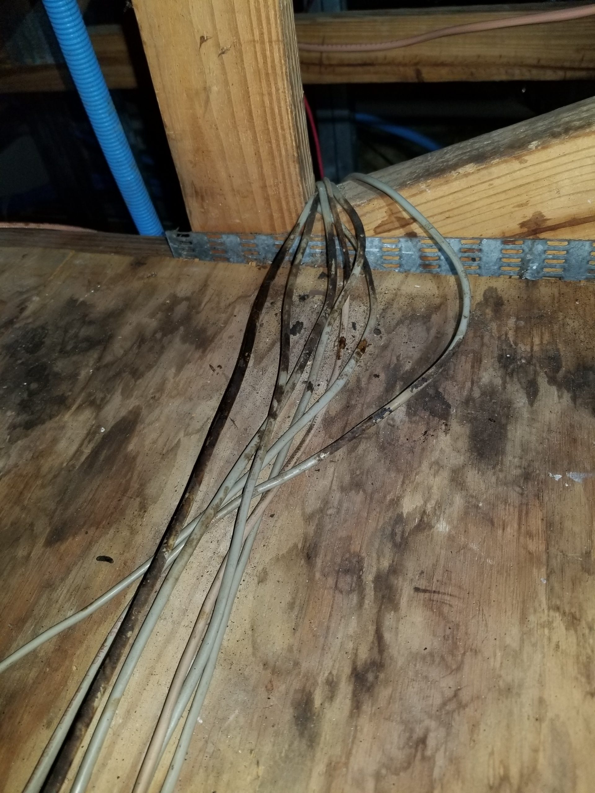 wiring stains deland