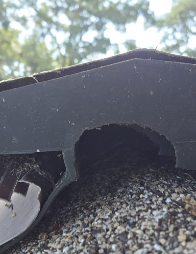 Chewed ridge vent caused by rat infestation in DeLand, Florida home