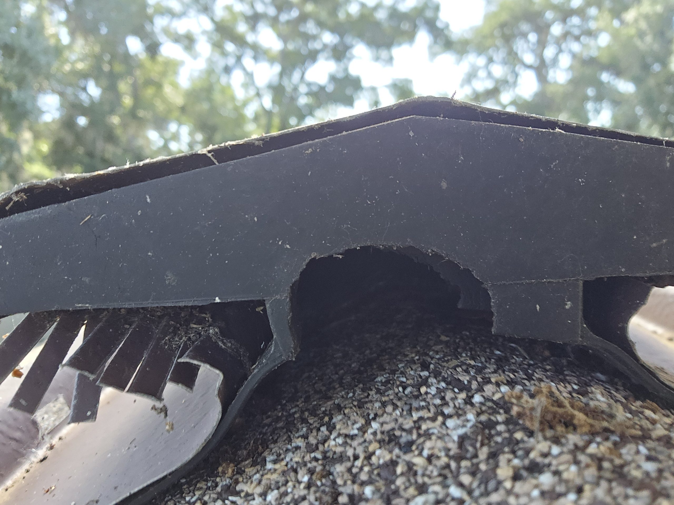 Chewed ridge vent caused by rat infestation in DeLand, Florida home