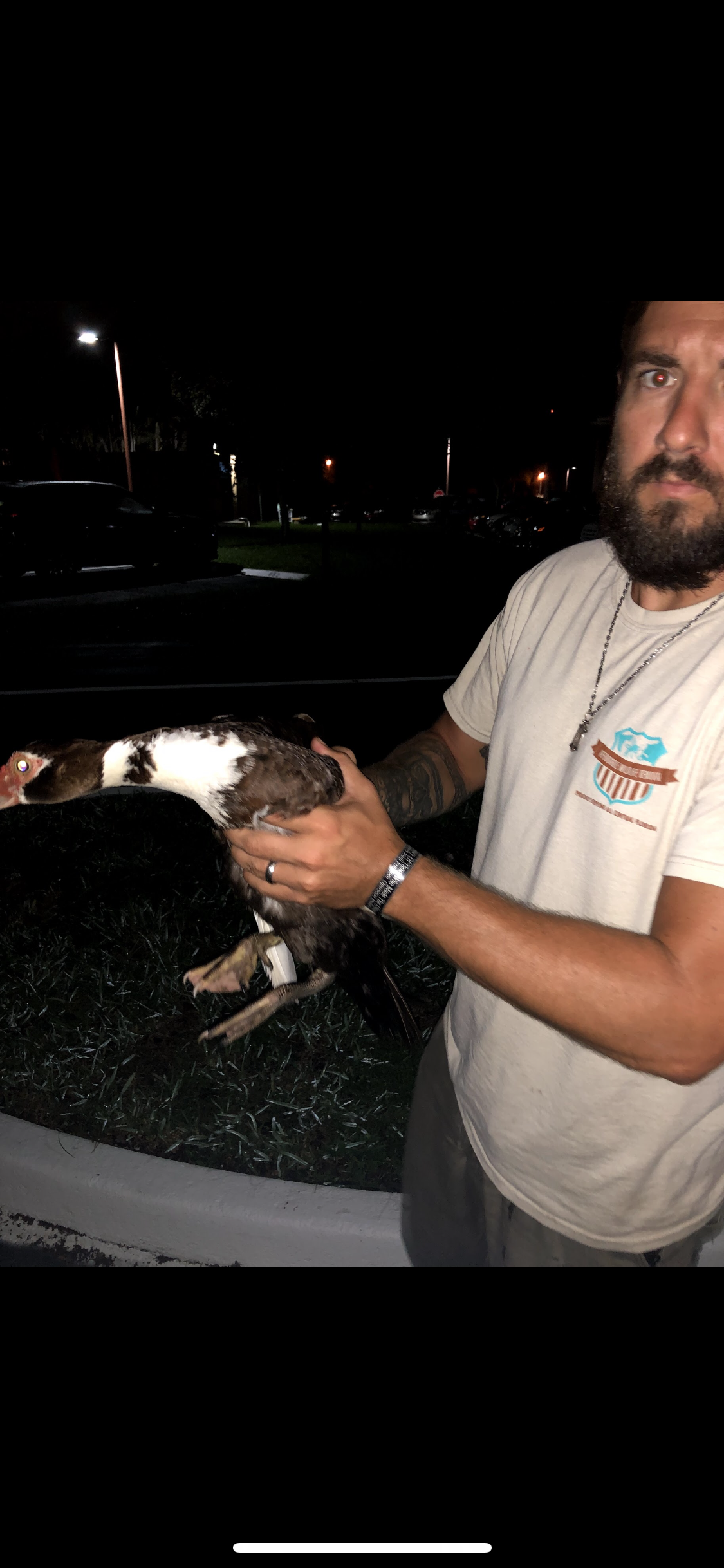 humane duck removal