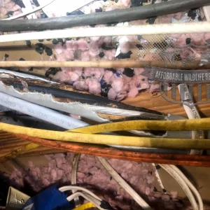 rat damaged electrical